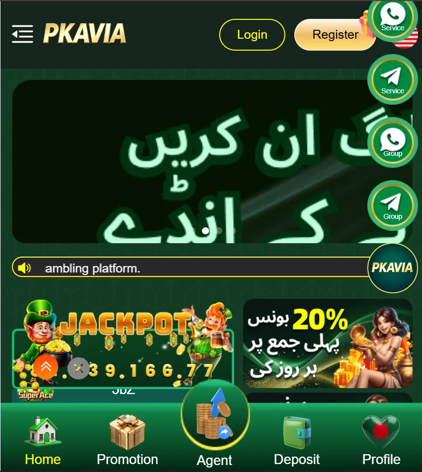 pkavia app interface
