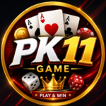 PK11 Game