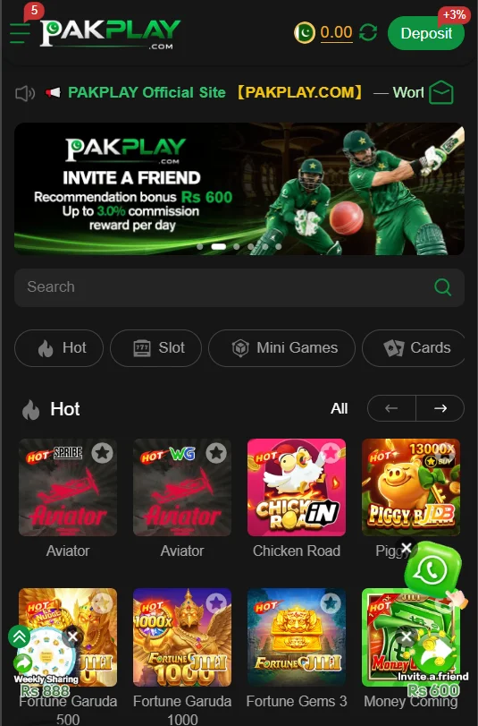 pak play game